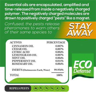 Natural Essential Oil Ingredients in Eco Defense Stay Away Rodent Repellent Spray